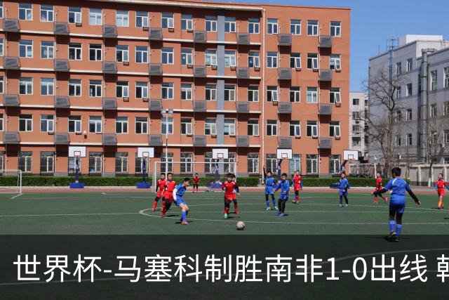 世界杯-马塞科制胜南非1-0出线 韩国积3分获小组第三待定