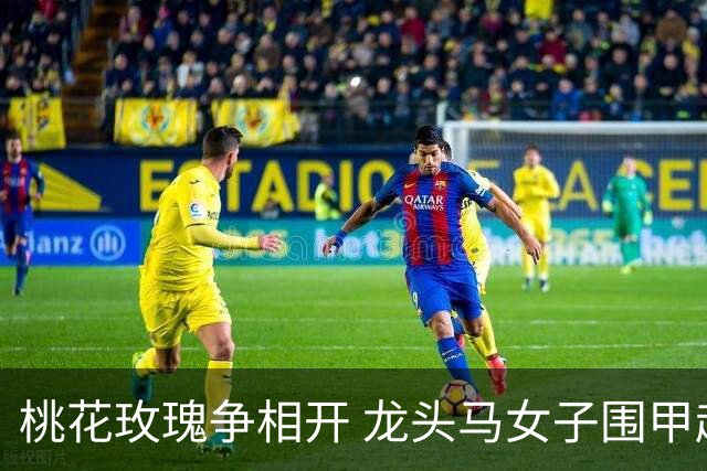 桃花玫瑰争相开 龙头马女子围甲赴风雅之约
