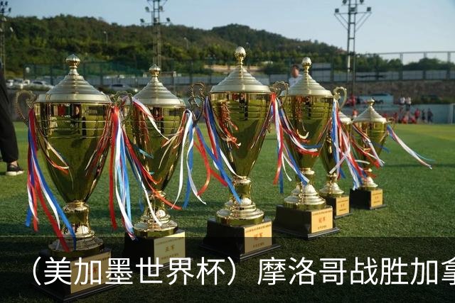 （美加墨世界杯）摩洛哥战胜加拿大 连续两届世界杯闯入八强